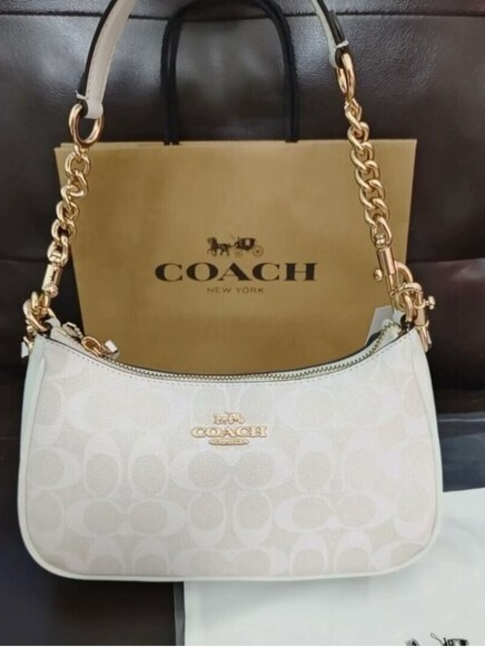 Coach Teri Shoulder Bag In Signature Canvas